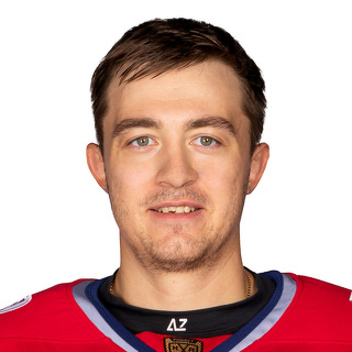 Денис В. Алексеев