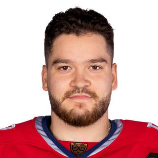 Илья Е. Николаев