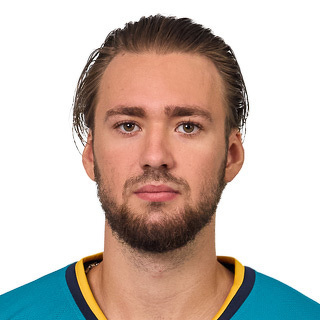 Илья В. Николаев