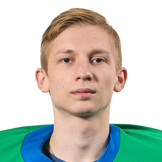 Ярослав Мозговой