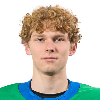 Максим Загребин