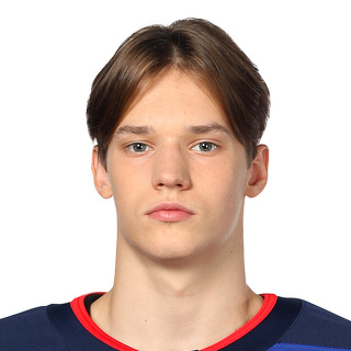 Ян Мельников