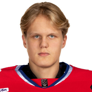 Дмитрий Боричев