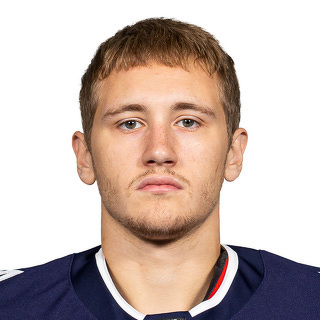 Василий Павлинский